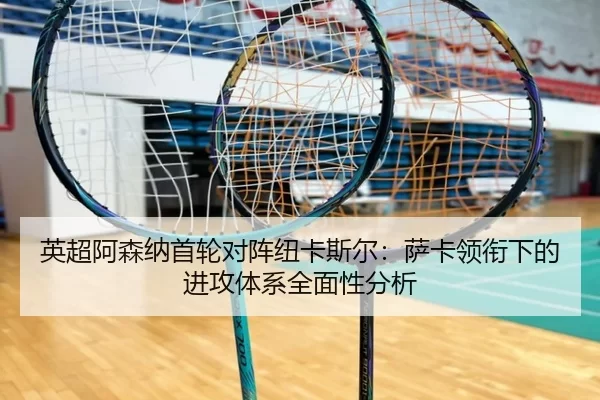 ying-chao-a-sen-na-shou-lun-dui-zhen-niu-ka-si-er-sa-ka-ling-xian-xia-de-jin-gong-ti-xi-quan-mian-xing-fen-xi-2-367.jpg